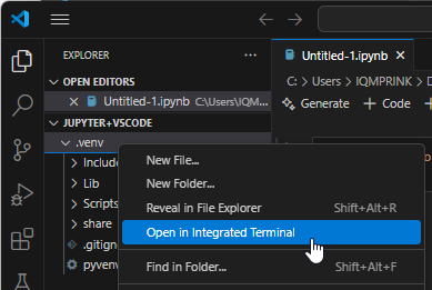 Open in Integrated Terminal