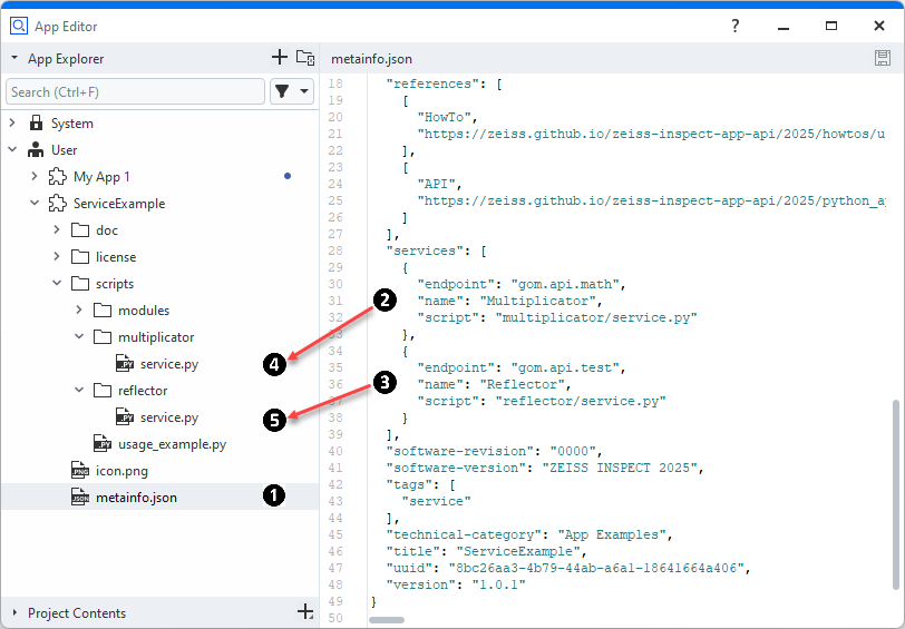 Services metainfo.json example